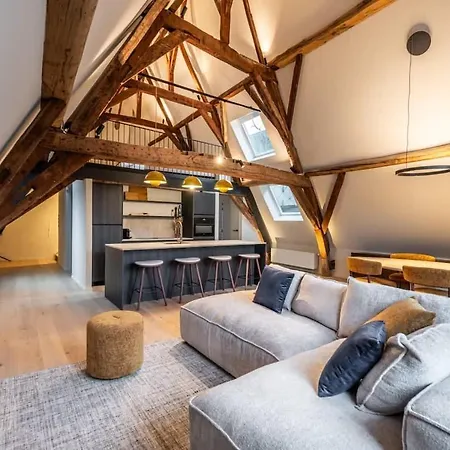 Huswell - City-View Loft With Wooden Beams And Mezzanine Ghent Exterior photo